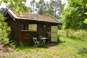 Cabane en forêt